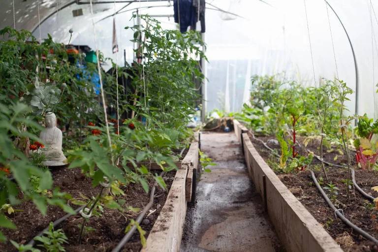 Horticulture Projects